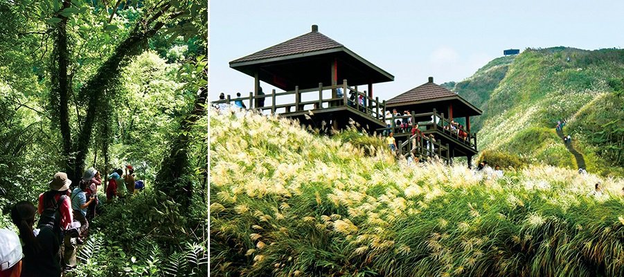 生態旅遊是開啟通往大自然的門,並藉此找回人與土地的連結。(攝影/高毓霠,圖片來源:東北角之友臉書)