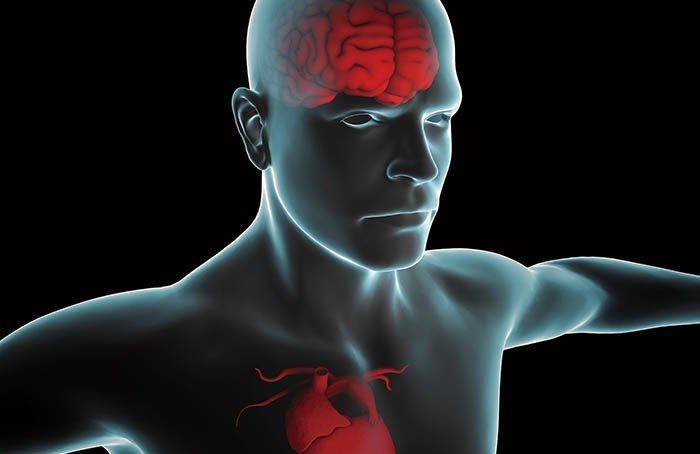 心臟才是大腦主宰