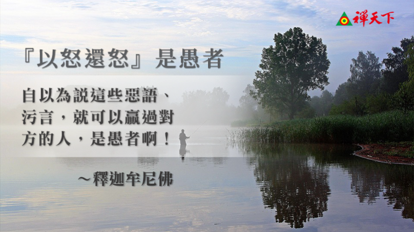『以怒還怒』是愚者