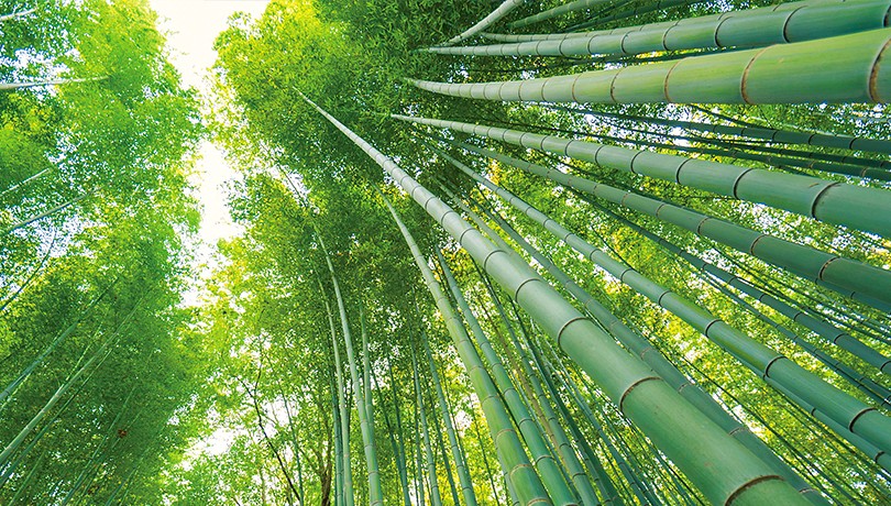 智慧生活 突破臨界點 禪天下zencosmos 智慧生活 突破臨界點 禪天下zencosmos